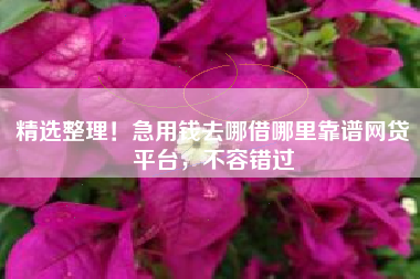 精选整理！急用钱去哪借哪里靠谱网贷平台，不容错过