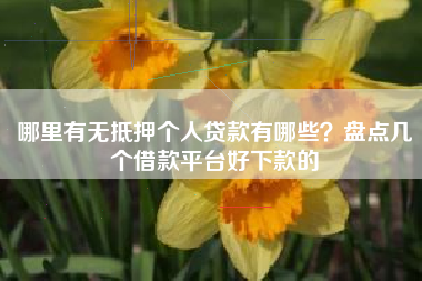 哪里有无抵押个人贷款有哪些？盘点几个借款平台好下款的