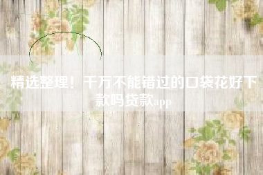 精选整理！千万不能错过的口袋花好下款吗贷款app