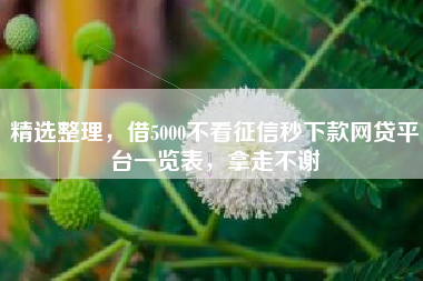 精选整理，借5000不看征信秒下款网贷平台一览表，拿走不谢