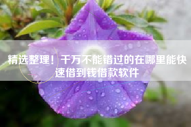 精选整理！千万不能错过的在哪里能快速借到钱借款软件