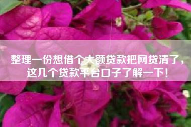 整理一份想借个大额贷款把网贷清了，这几个贷款平台口子了解一下！