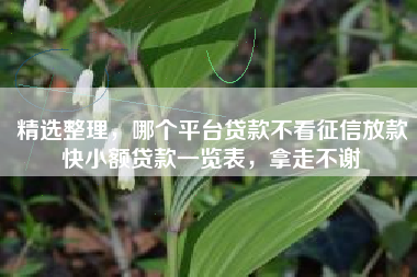 精选整理，哪个平台贷款不看征信放款快小额贷款一览表，拿走不谢