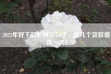 2022年好下款的网贷口子，这几个贷款值得一试！