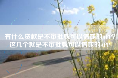 有什么贷款是不审批就可以借钱的APP？这几个就是不审批就可以借钱的APP