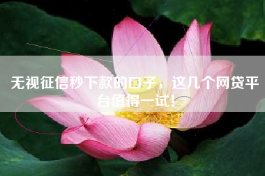 无视征信秒下款的口子，这几个网贷平台值得一试！