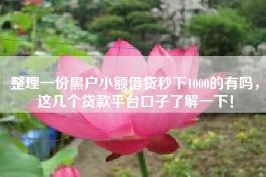 整理一份黑户小额借贷秒下1000的有吗，这几个贷款平台口子了解一下！