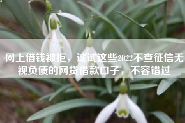 网上借钱被拒，试试这些2022不查征信无视负债的网贷借款口子，不容错过