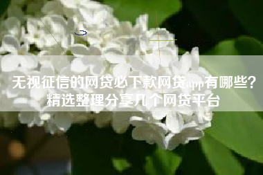 无视征信的网贷必下款网贷app有哪些？精选整理分享几个网贷平台