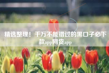 精选整理！千万不能错过的黑口子必下款app网贷app