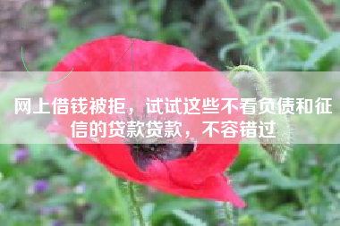 网上借钱被拒，试试这些不看负债和征信的贷款贷款，不容错过