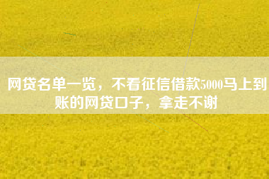 网贷名单一览，不看征信借款5000马上到账的网贷口子，拿走不谢