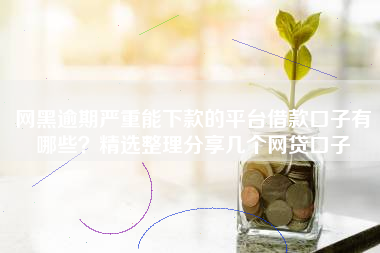 网黑逾期严重能下款的平台借款口子有哪些？精选整理分享几个网贷口子