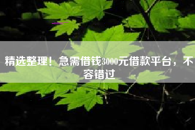 精选整理！急需借钱3000元借款平台，不容错过