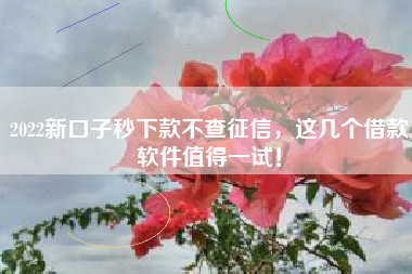 2022新口子秒下款不查征信，这几个借款软件值得一试！