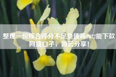 整理一份综合评分不足负债高2022能下款网贷口子，简云分享！