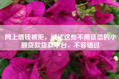 网上借钱被拒，试试这些不用征信的小额贷款贷款平台，不容错过