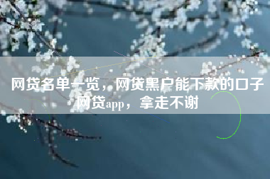 网贷名单一览，网贷黑户能下款的口子网贷app，拿走不谢