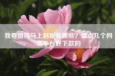 我要借钱马上到账有哪些？盘点几个网贷平台好下款的