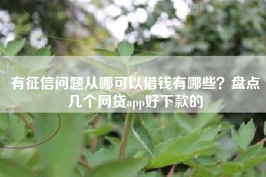 有征信问题从哪可以借钱有哪些？盘点几个网贷app好下款的
