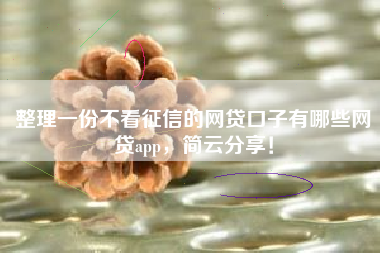 整理一份不看征信的网贷口子有哪些网贷app，简云分享！