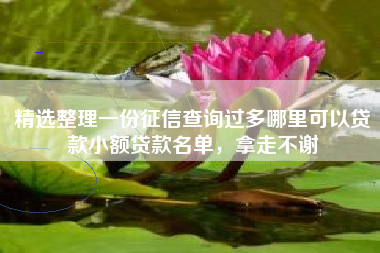 精选整理一份征信查询过多哪里可以贷款小额贷款名单，拿走不谢