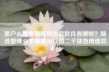 黑户去哪里借钱啊借款软件有哪些?精选整理分享哪里可以借二千块急用借款平台 黑户去哪里借钱啊借款软件有哪些?精选整理分享哪里可以借二千块急用借款平台