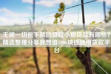 无视一切包下款的贷款小额贷款有哪些?精选整理分享我想借1000块钱急用贷款平台 无视一切包下款的贷款小额贷款有哪些?精选整理分享我想借1000块钱急用贷款平台