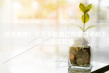 精选整理！千万不能错过的黑口子必下款app借款软件