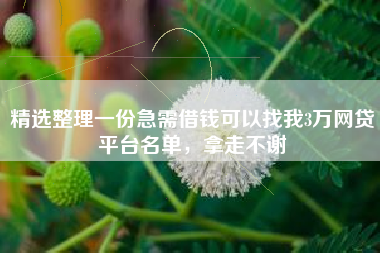 精选整理一份急需借钱可以找我3万网贷平台名单，拿走不谢