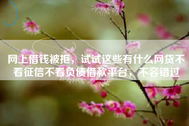 网上借钱被拒，试试这些有什么网贷不看征信不看负债借款平台，不容错过