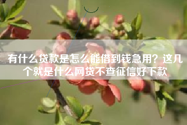 有什么贷款是怎么能借到钱急用？这几个就是什么网贷不查征信好下款