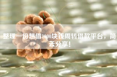 整理一份想借1000块钱周转借款平台,简云分享! 整理一份想借1000块钱周转借款平台,简云分享!