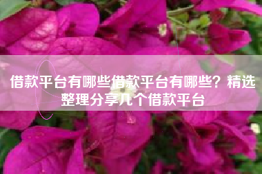 借款平台有哪些借款平台有哪些?精选整理分享几个借款平台 借款平台有哪些借款平台有哪些?精选整理分享几个借款平台