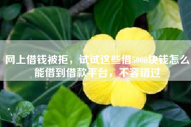 网上借钱被拒，试试这些借5000块钱怎么能借到借款平台，不容错过