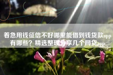 着急用钱征信不好哪里能借到钱贷款app有哪些？精选整理分享几个网贷app