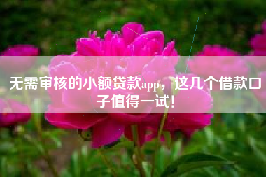 无需审核的小额贷款app，这几个借款口子值得一试！