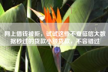 网上借钱被拒，试试这些不查征信大数据秒过的贷款小额贷款，不容错过