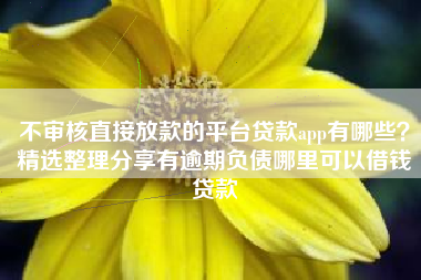 不审核直接放款的平台贷款app有哪些？精选整理分享有逾期负债哪里可以借钱贷款