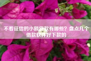 不看征信的小额贷款有哪些？盘点几个借款软件好下款的