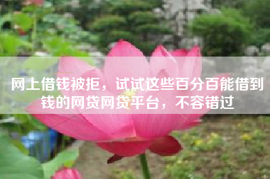 网上借钱被拒，试试这些百分百能借到钱的网贷网贷平台，不容错过