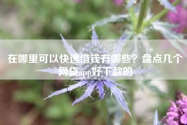 在哪里可以快速借钱有哪些？盘点几个网贷app好下款的