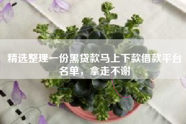 精选整理一份黑贷款马上下款借款平台名单,拿走不谢 精选整理一份黑贷款马上下款借款平台名单,拿走不谢