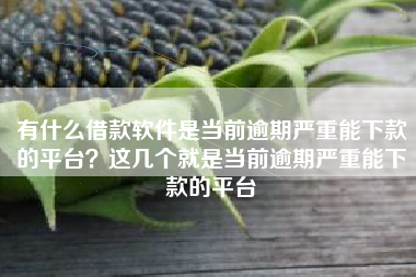 有什么借款软件是当前逾期严重能下款的平台？这几个就是当前逾期严重能下款的平台