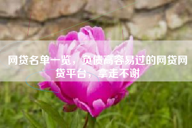 网贷名单一览，负债高容易过的网贷网贷平台，拿走不谢