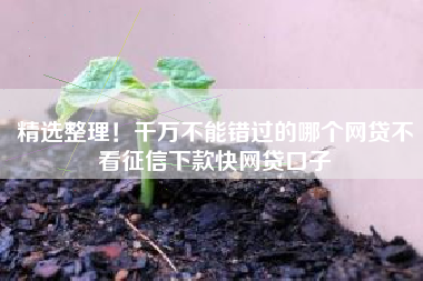 精选整理！千万不能错过的哪个网贷不看征信下款快网贷口子
