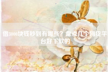 借3000块钱秒到有哪些？盘点几个网贷平台好下款的