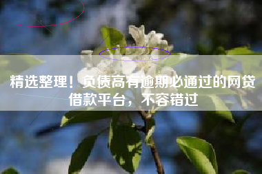 精选整理！负债高有逾期必通过的网贷借款平台，不容错过