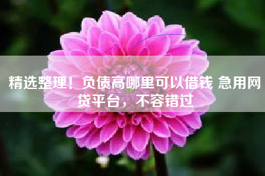 精选整理!负债高哪里可以借钱 急用网贷平台,不容错过 精选整理!负债高哪里可以借钱 急用网贷平台,不容错过