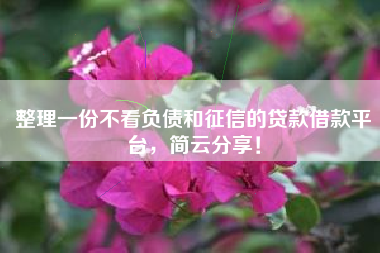 整理一份不看负债和征信的贷款借款平台，简云分享！